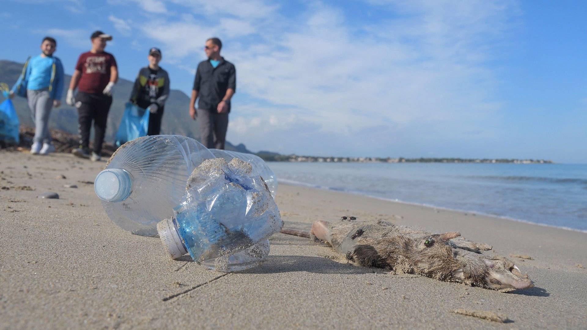 #BeachCareProject means: CIRCULARITY